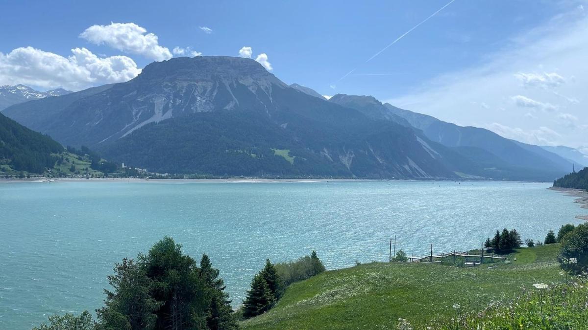 Suitetrails - Ferienwohnung Dalmatiner