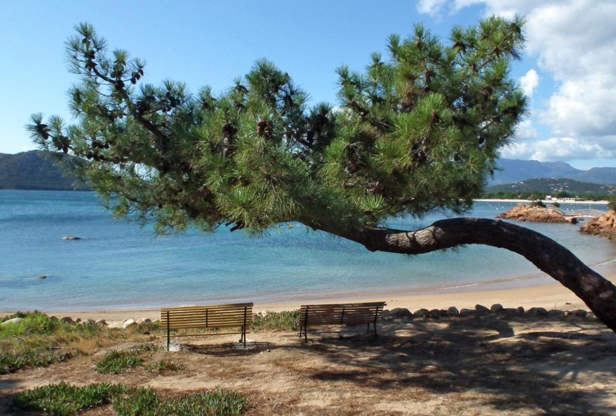 Villa CORSICA SUN, Résidence Cala Rossa Bay - Hizvo