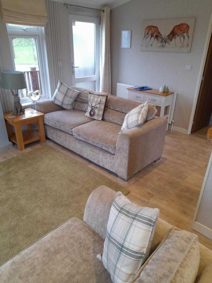 luxury timber pet friendly lodge with private hot tub 2 to 6 guests, outstanding views nr Paignton - Housity