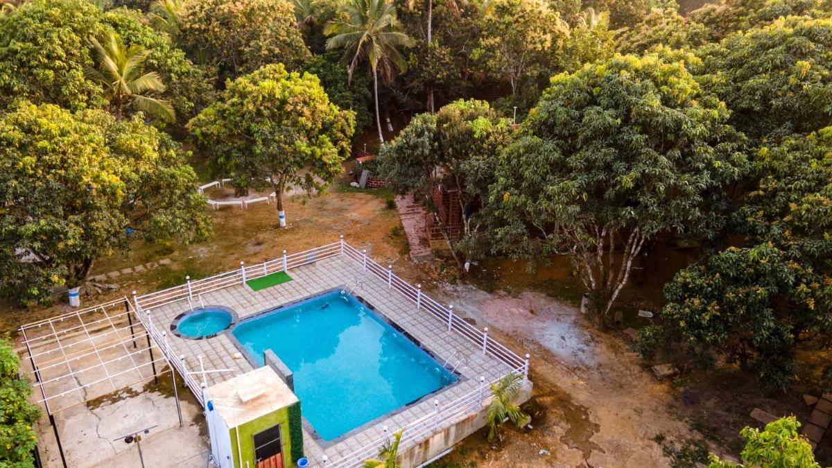 Dandeli Jungle Stay - Housity