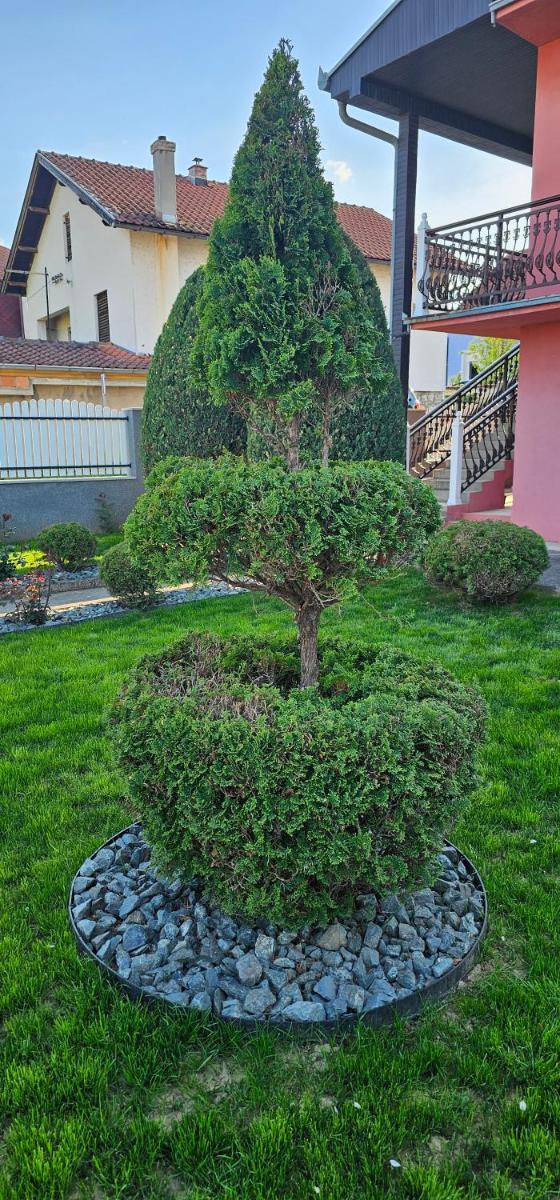 Guest House Lona - Housity
