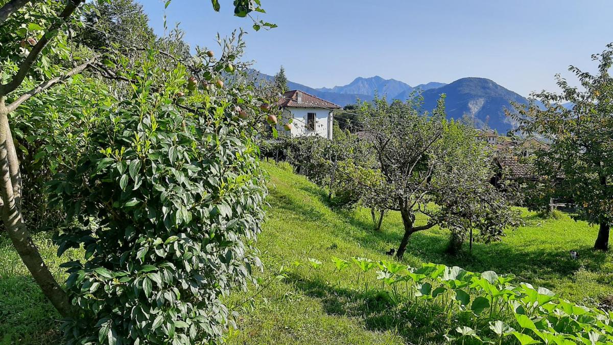 B&B Al Mutpron - Housity