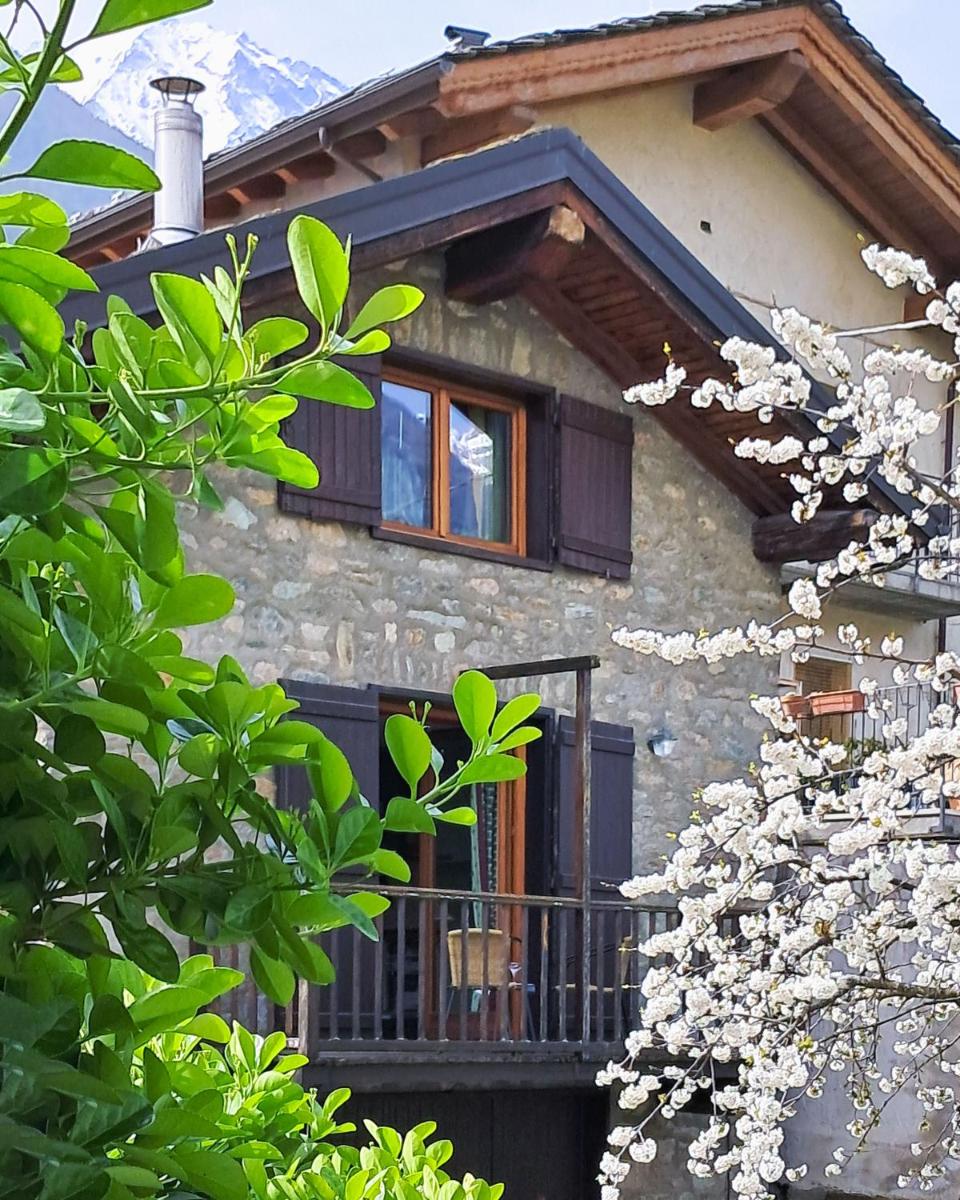 droz1702 - Housity