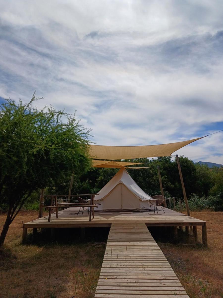 Glamping, escapada en la naturaleza - Housity