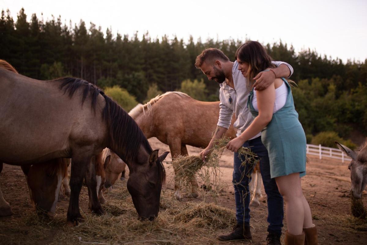 Glamping, escapada en la naturaleza - Housity