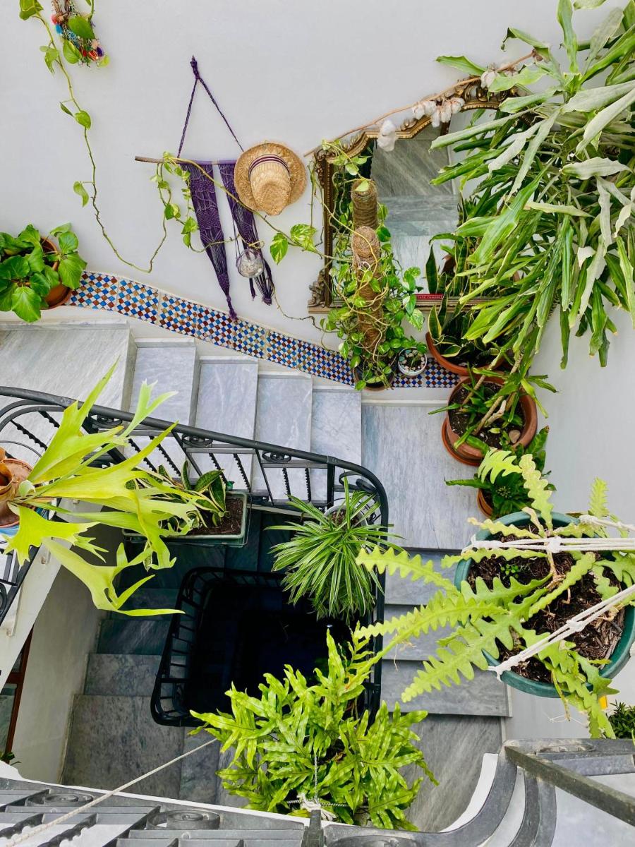 Alvorada Rooms - Housity