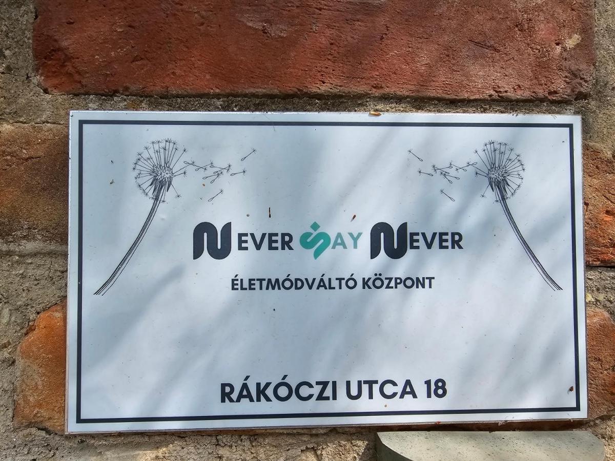 Never Say Never Vendégház - Housity