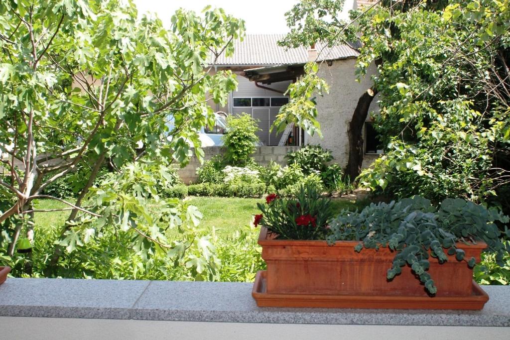 Ferienhof Weingut Lunzer - Housity