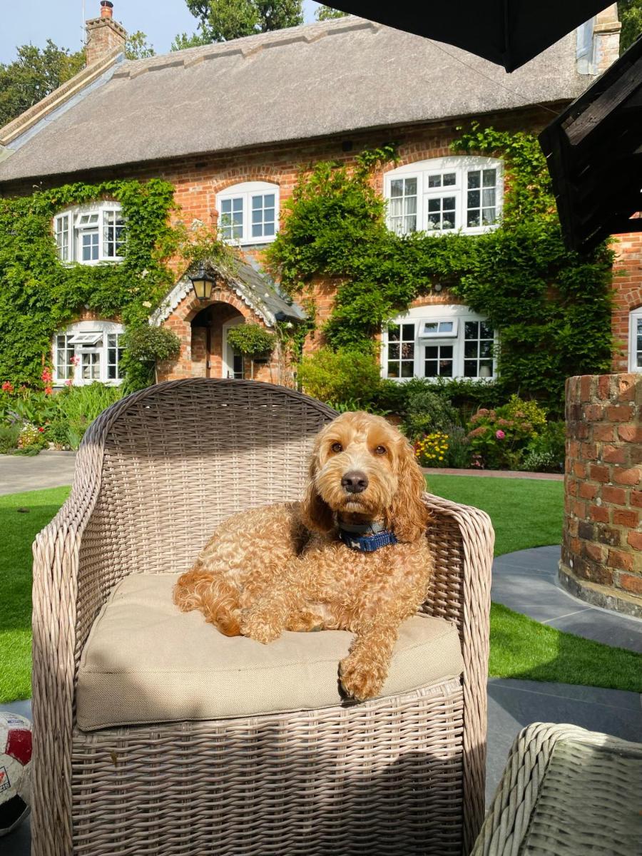 Little Woodside a beautiful New Forest self contained private luxury annexe - Housity
