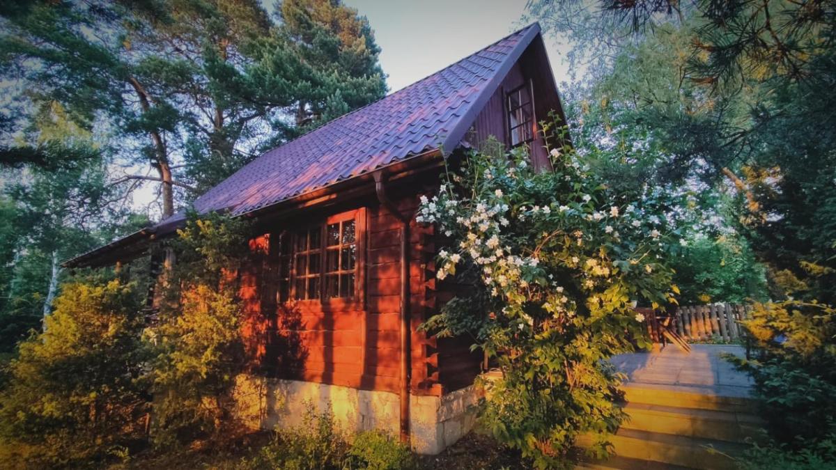 Przytulia - chata na bezdrożach Roztocza - Housity
