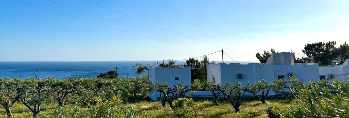 Studios Crete - Housity