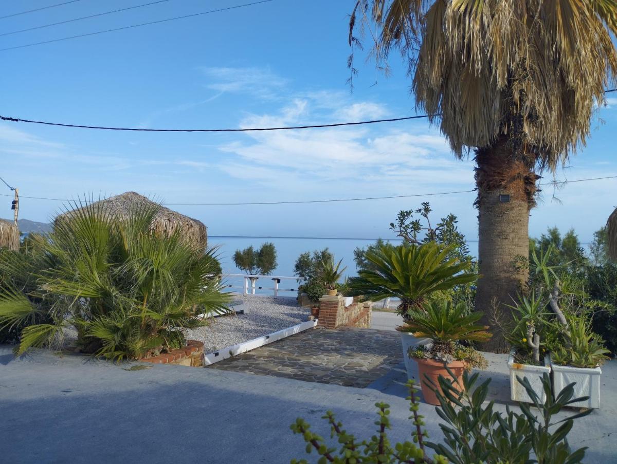 ILIOPOULOS Apartments - Housity