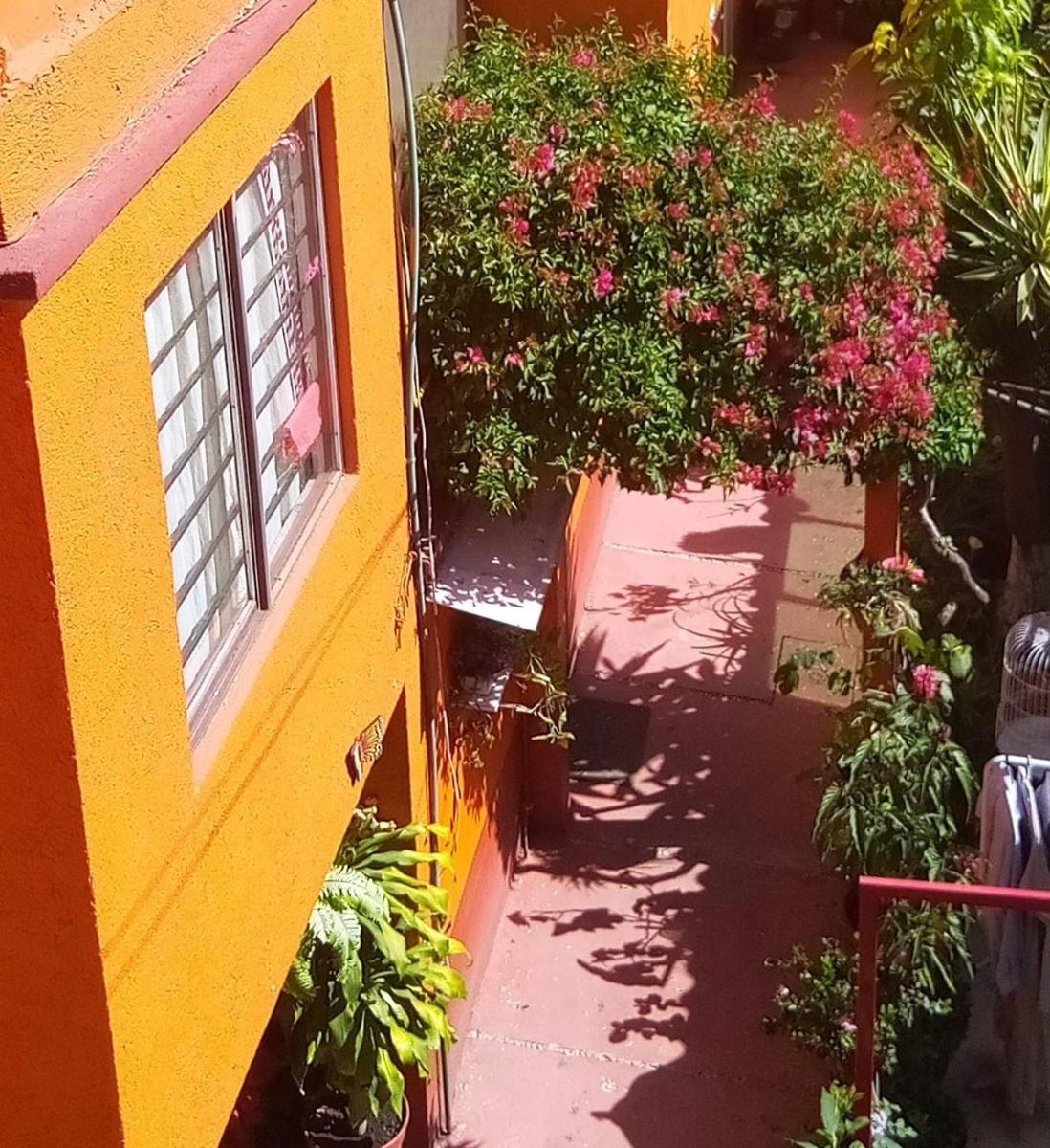 Depa 1 habitación equipado coyoacan - Housity