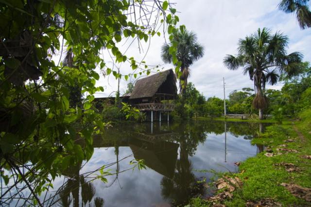 Coatí Lodge Misahuallí - FamiliyJungleParadise - Housity