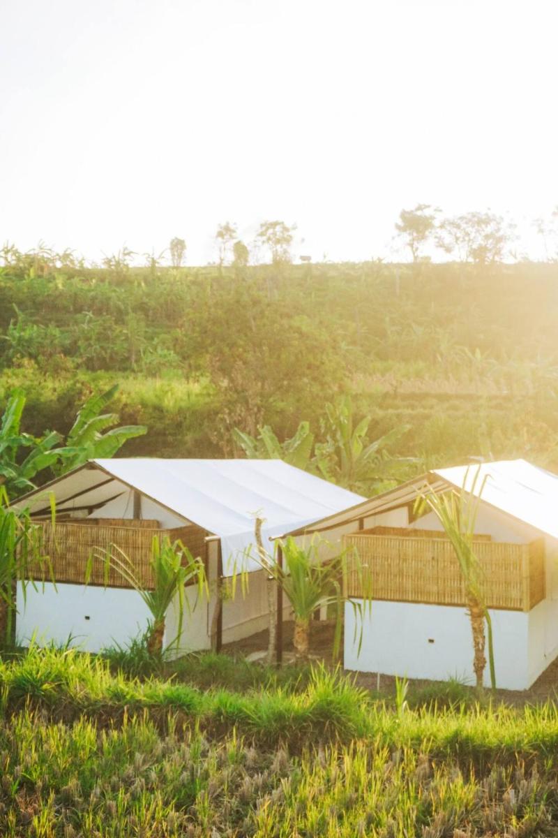 Camani Glamping - Housity