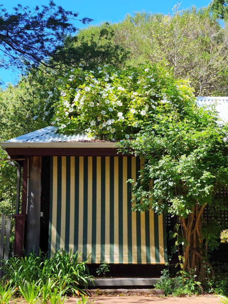 Redgum Hill Country Retreat - Housity