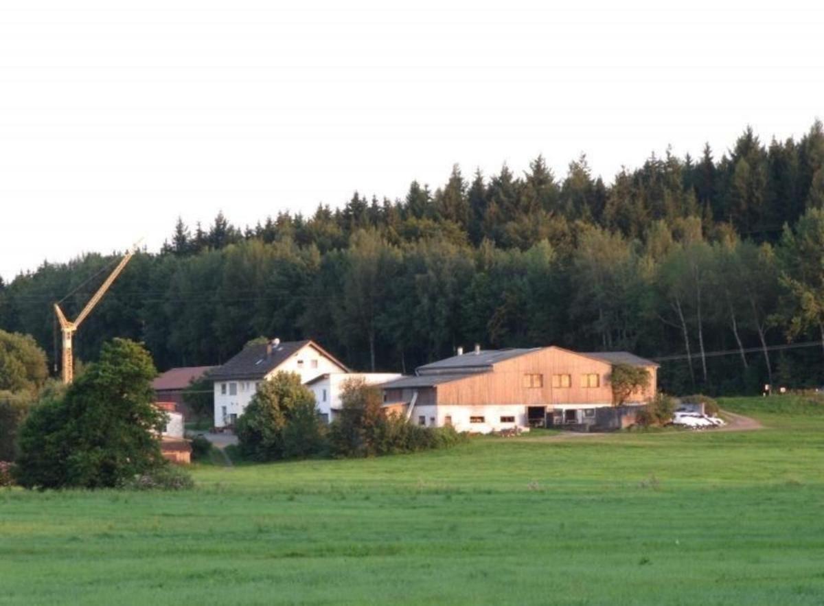 Ferienwohnung bei Waldmünchen mit Wald- und Wiesenumgebung - Housity
