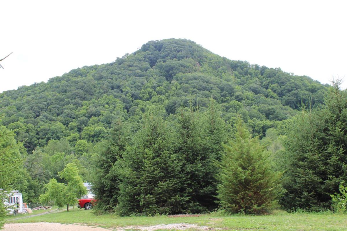 Eco Friendly Glamping Yurt In Roan Mountain Tn - Housity