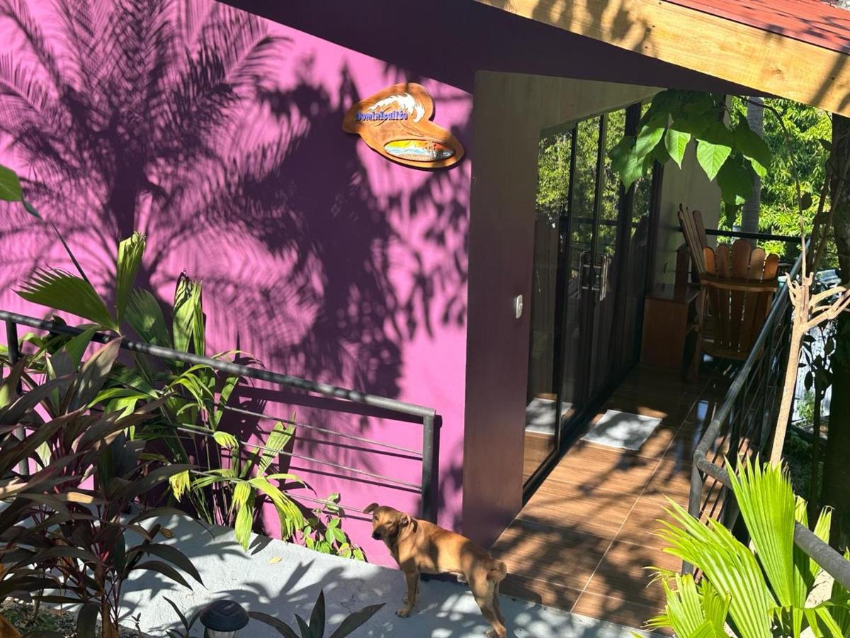Villas In Sueño Private Jungle Hotel - Housity