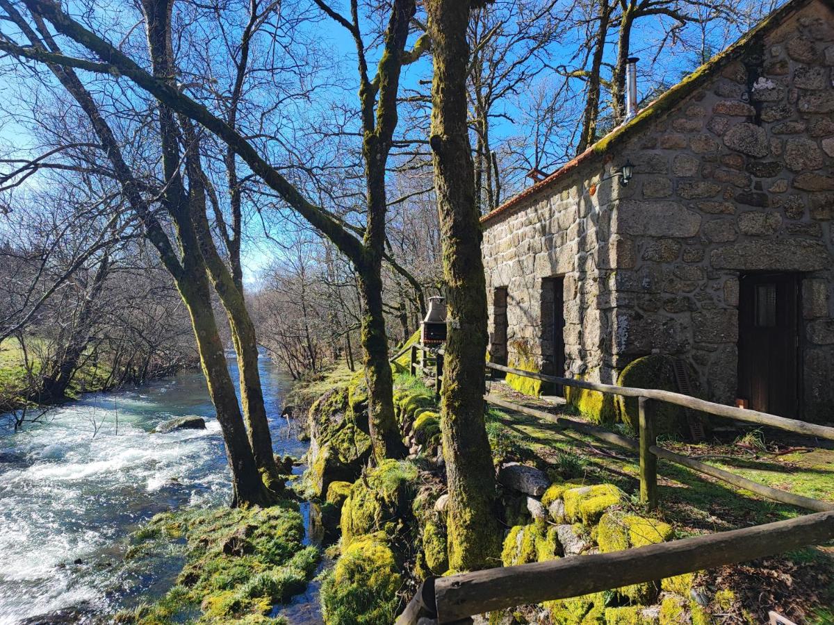 Moinhos do Poço Verde - Nova Gestão - Housity