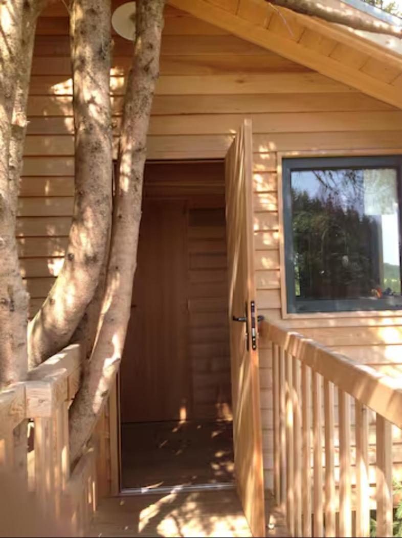Cabanes dans les arbres du Forez - Housity