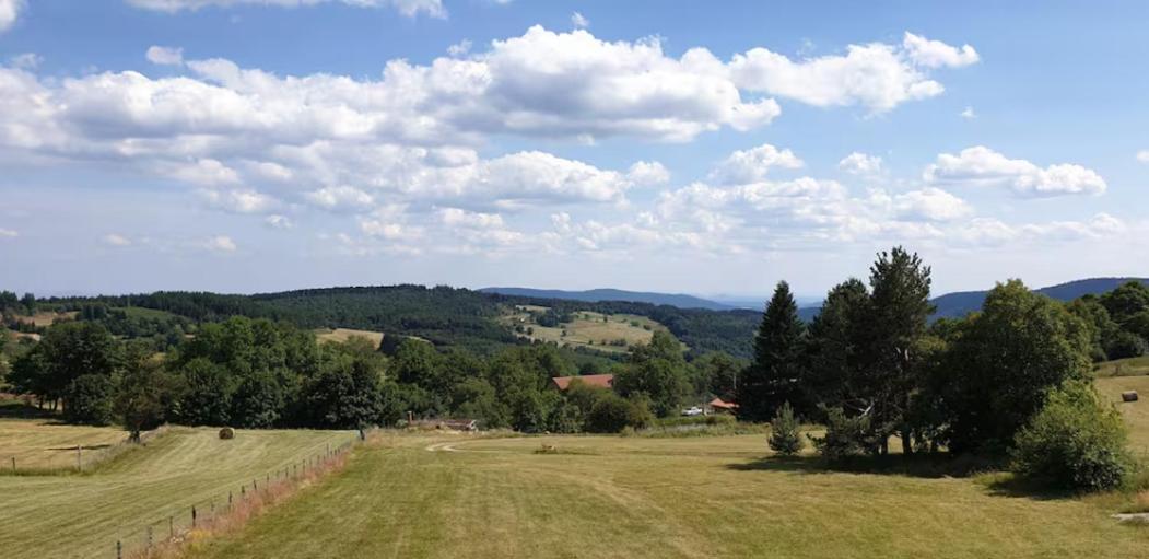 Cabanes dans les arbres du Forez - Housity