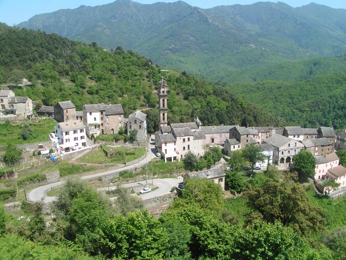L\'ALMA VIVA (Anciennement La Diligence) - Housity