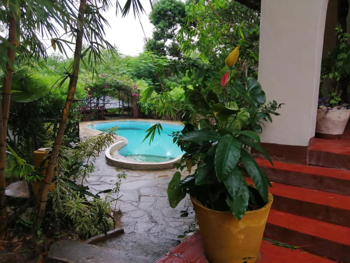 Tropical Garden House - Housity
