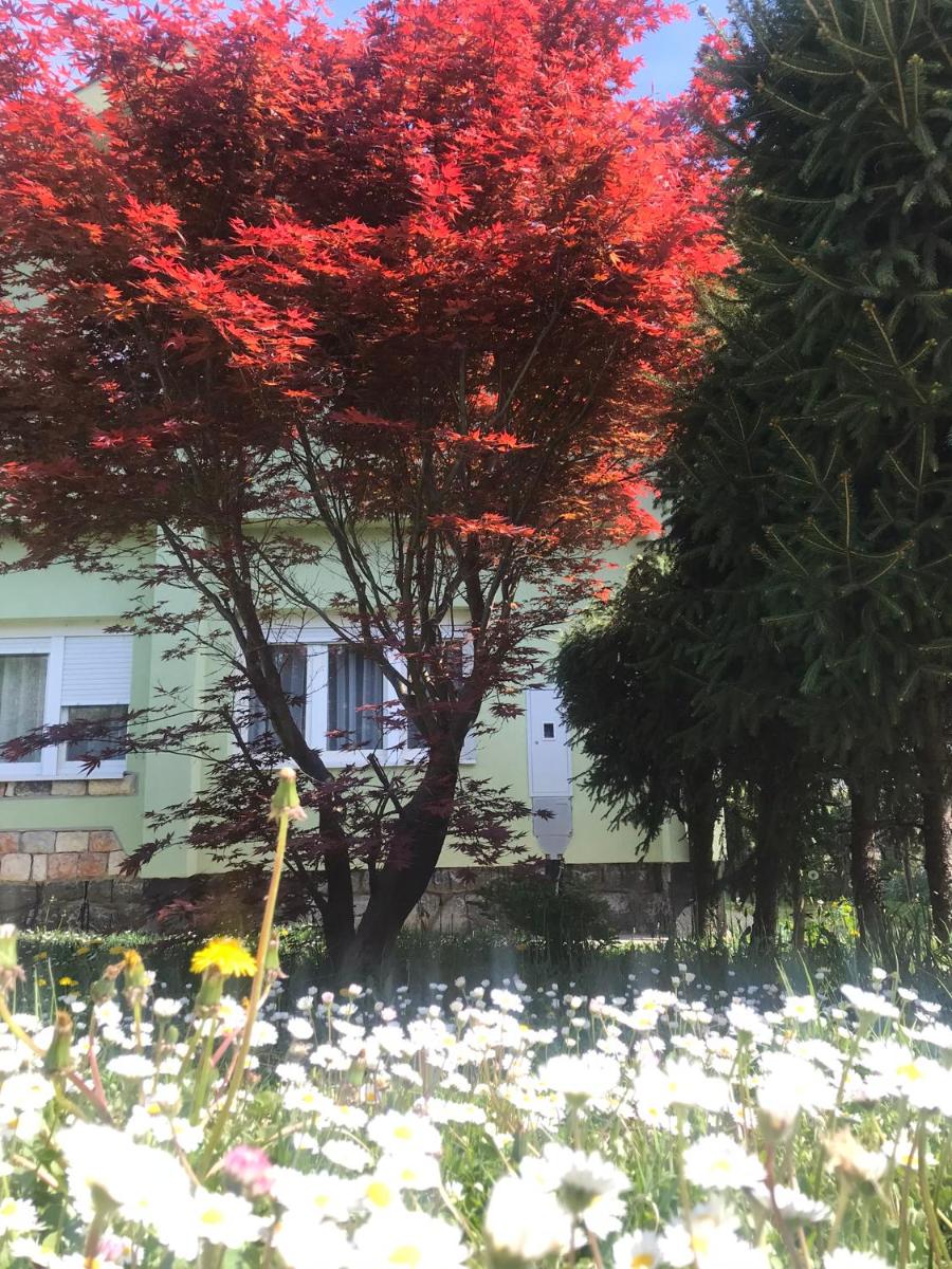 Garden's apartman - Kosjerić - Housity