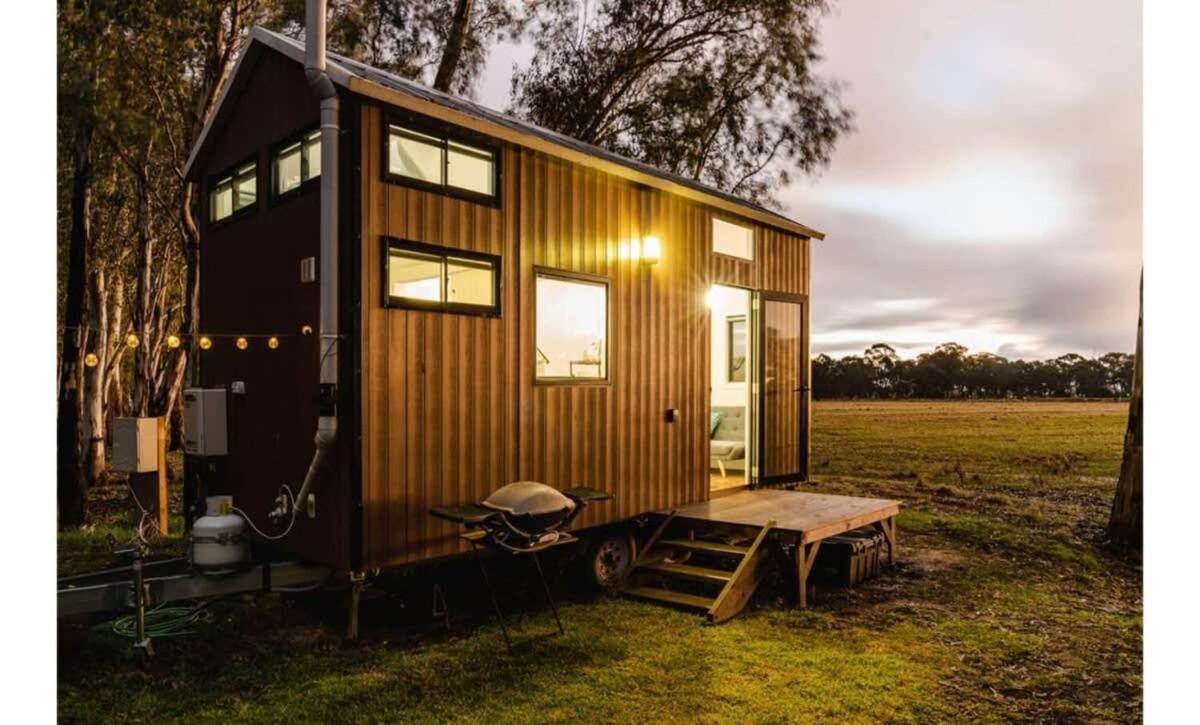 River Red Gum - Housity
