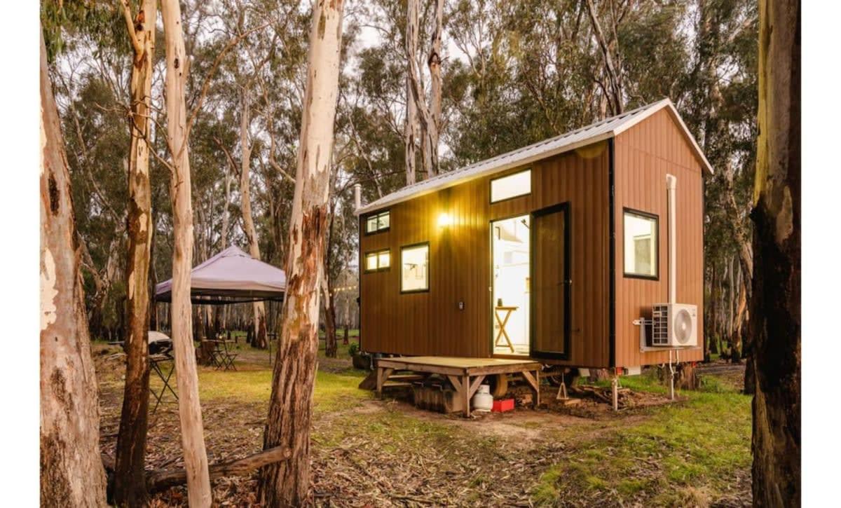 River Red Gum - Housity
