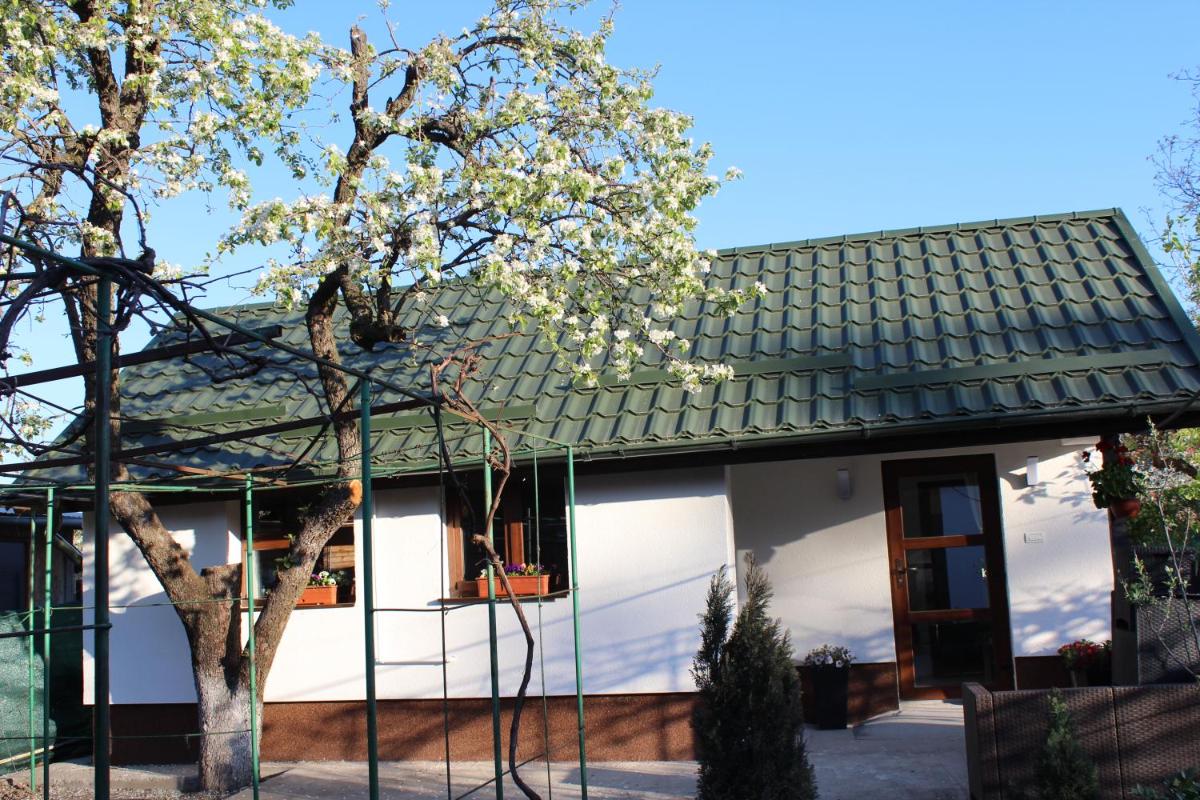 Căsuța artiștilor - Housity