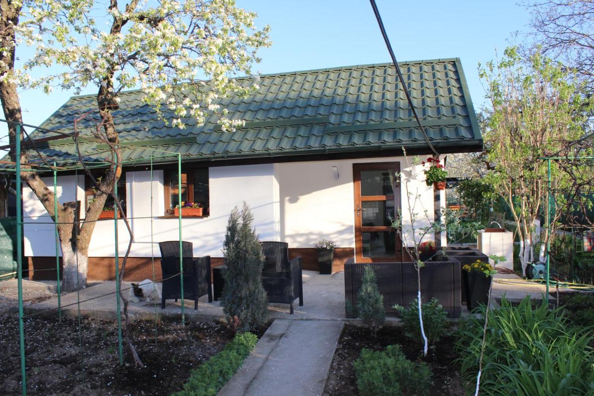 Căsuța artiștilor - Housity