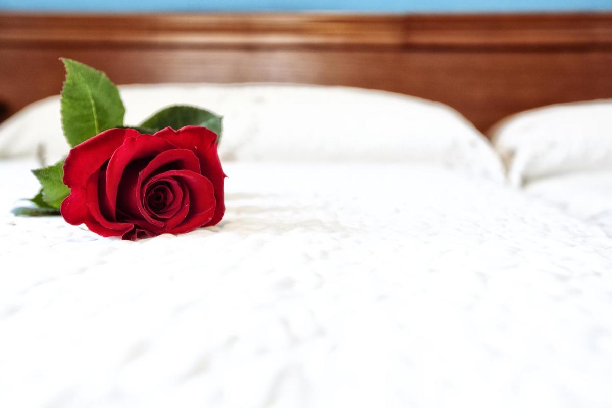 Hotel Eladia - Housity