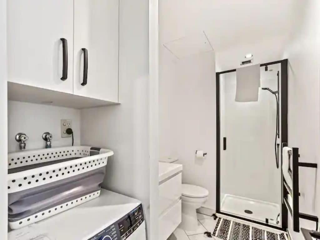 Modern One Bedroom Apartment in Auckland Central - Hizvo