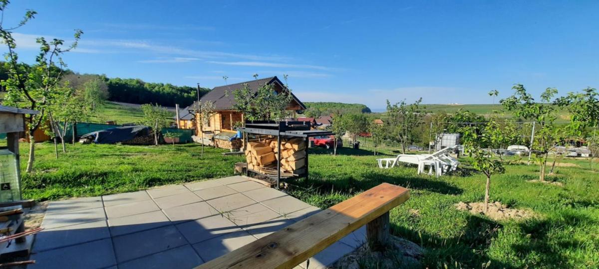 Stefana's Tiny House Nature Retreat - Housity