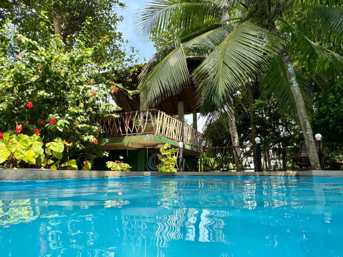 Swastha Ayurveda Villa - Housity