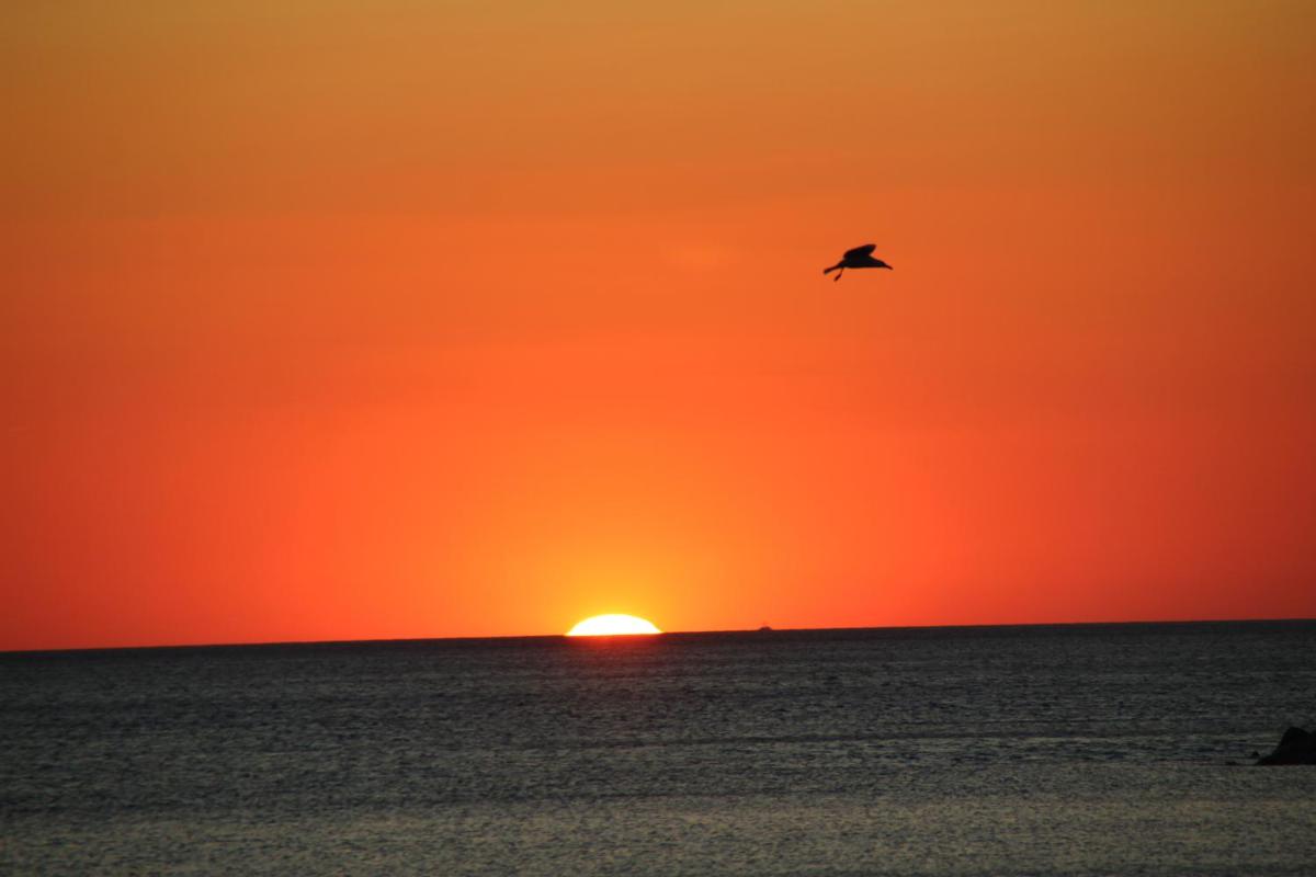 Tramonto sul Tirreno - Housity