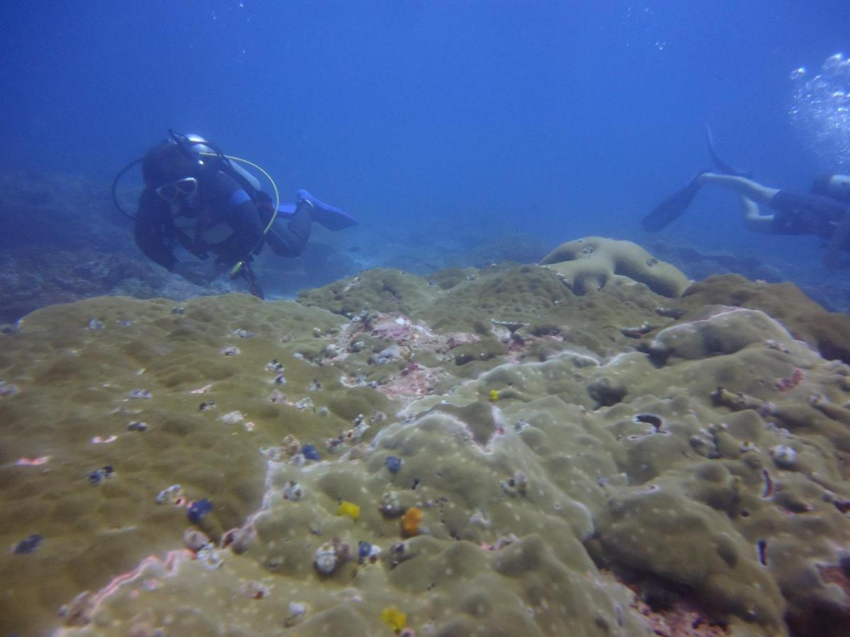 Suitetrails - DEEP SEA RESORT PADI DIVE CENTER