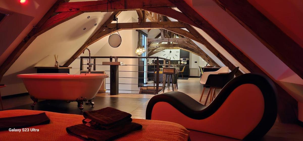 Apparthotel loft Martigné-Ferchaud - Housity
