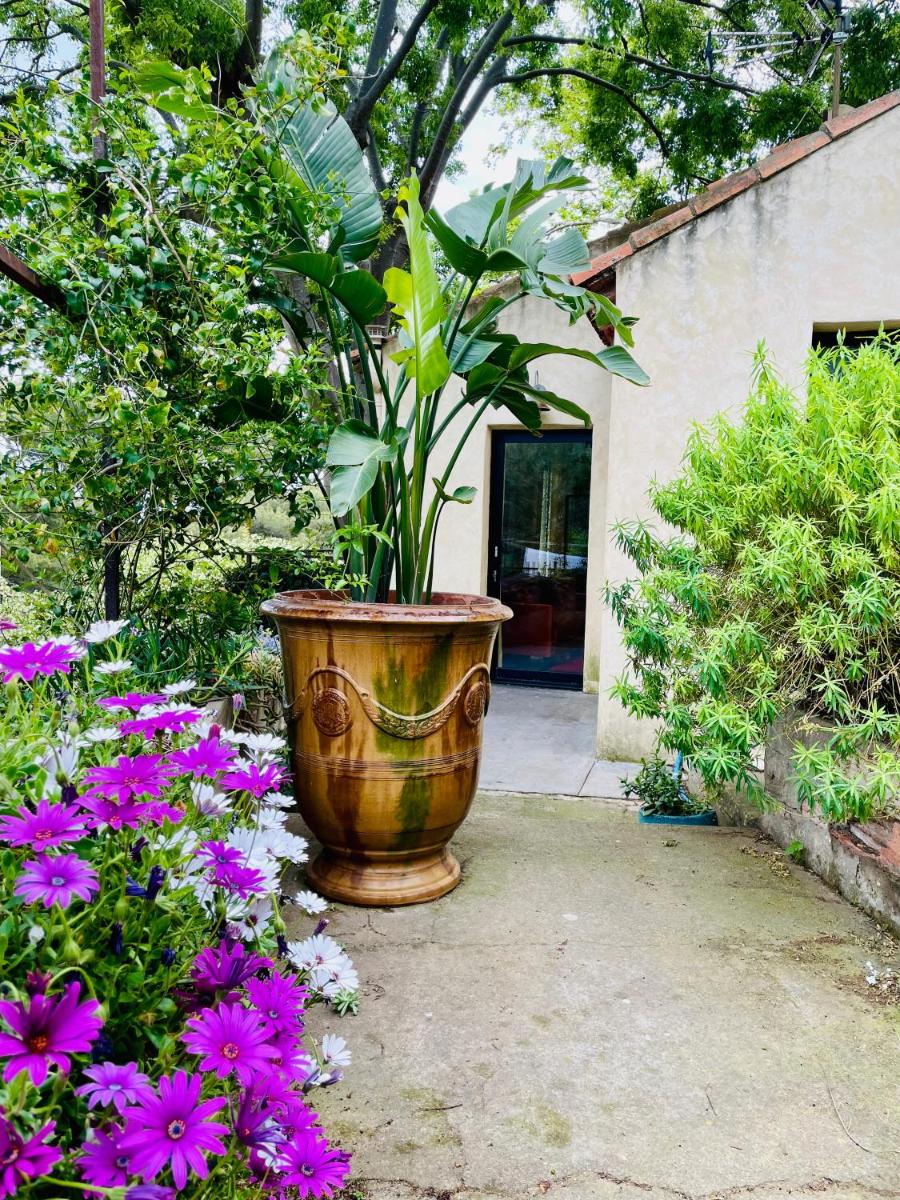 Maison, centre ville, terrasse, parking, calme - Housity