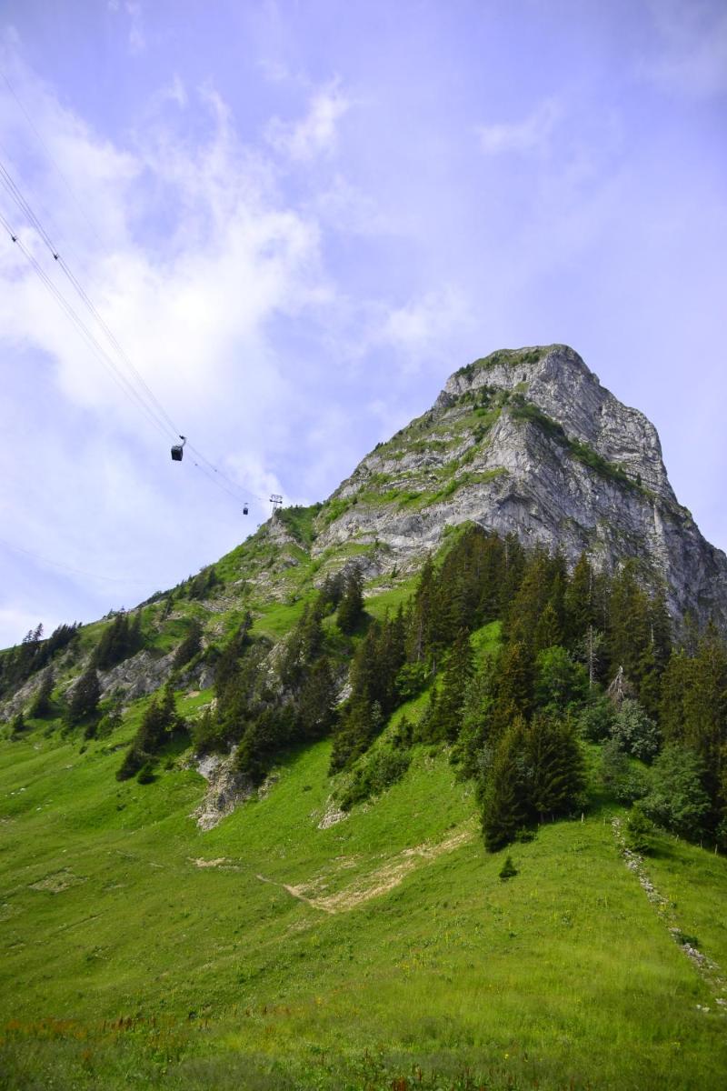 La Pierre à Catillon - Housity