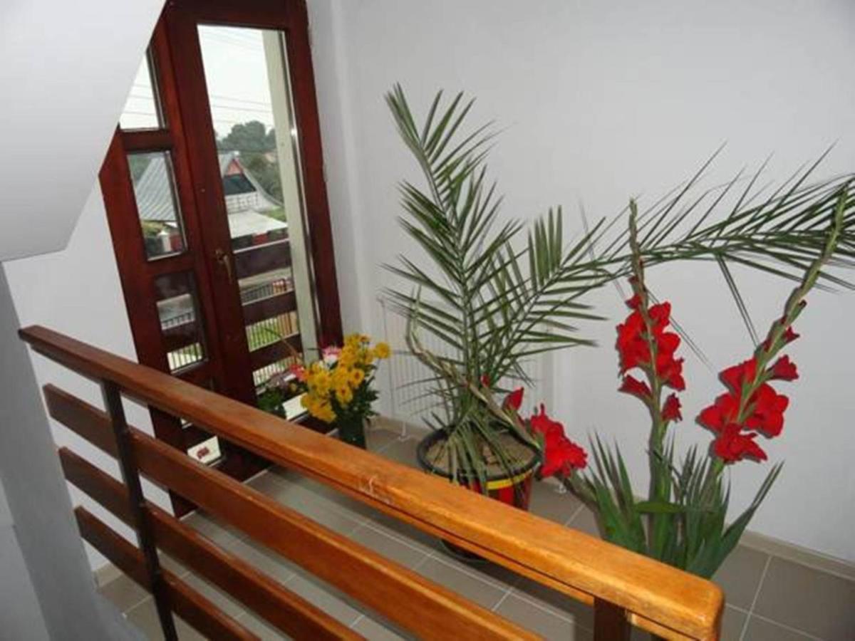 Pensiunea Cristina Racova - Housity