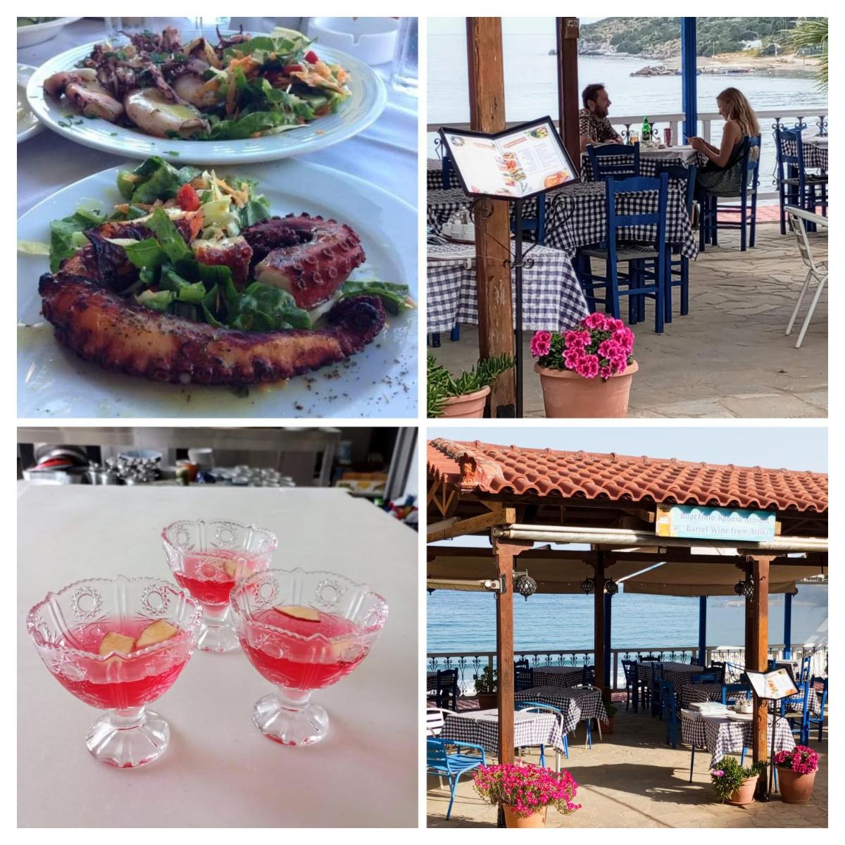 Svetlana & Michalis Oasis Hotel - Housity