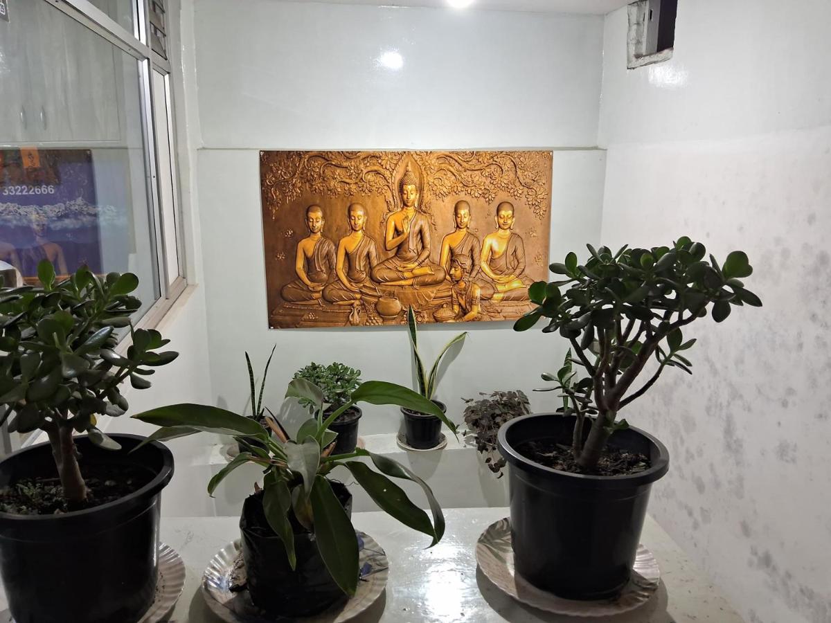 Lama Hotel - Housity