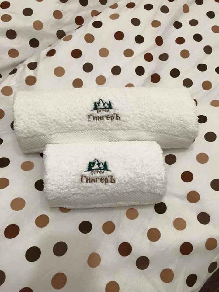 Family Hotel Ginger - Housity