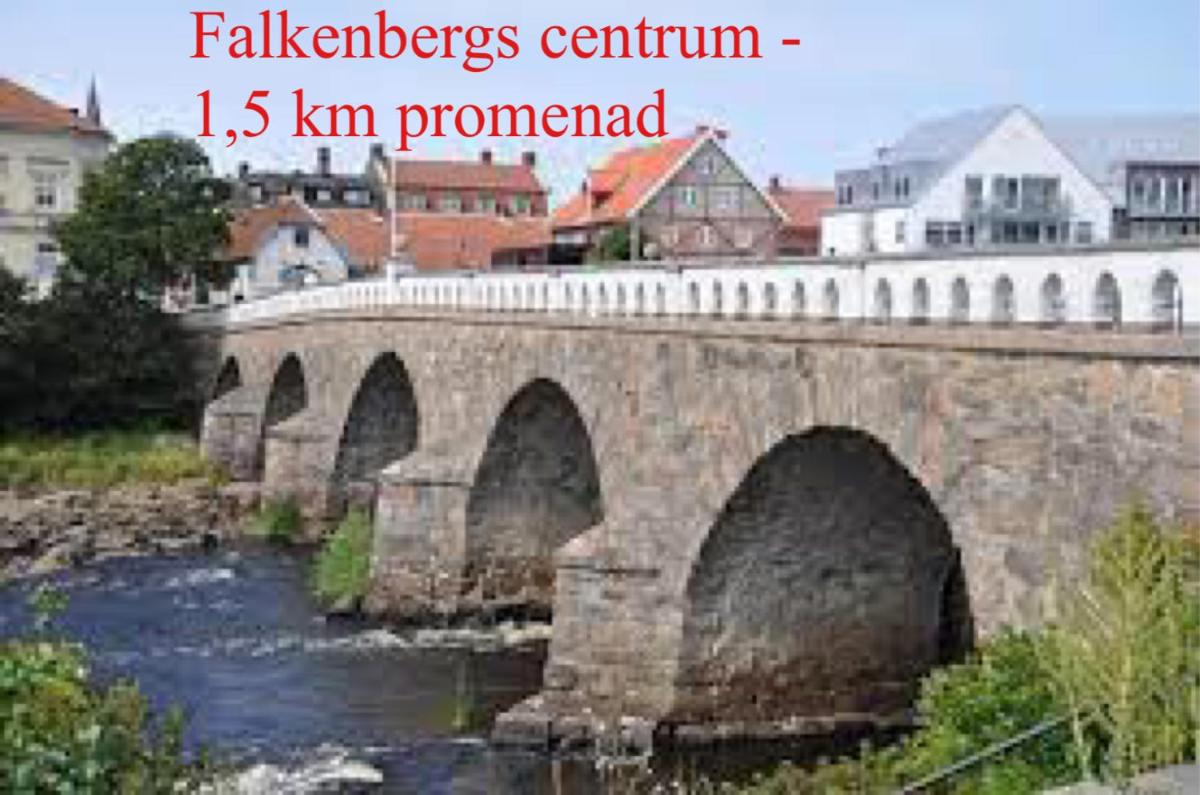 300 m till Skrea Strand och nära till centrum - Housity