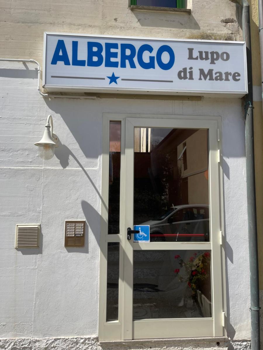 Hotel Lupo di mare - Housity