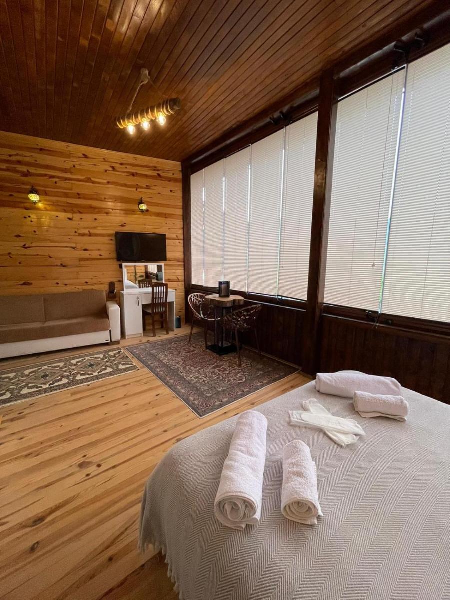 AHO 103 dağ manzaralı oda - Housity