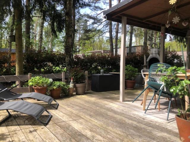 Chalet Luxe - Housity